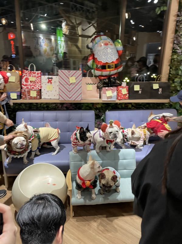 森林小徑大墩店對寵物超友善